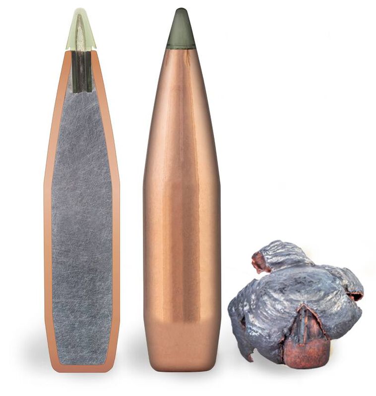 Premier Long Range, 300 Win Mag, 190 Grain, Speer Impact, 2885 fps